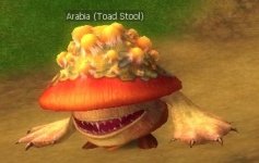 Toad SToll.jpg Toad SToll.jpg